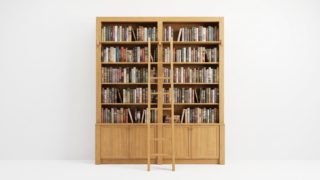 Biblioteczka Dublin
